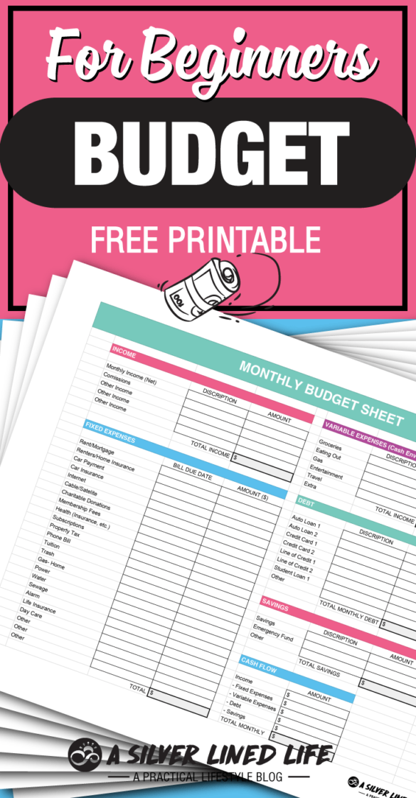 budget-free-printable-for-beginners-a-silver-lined-life