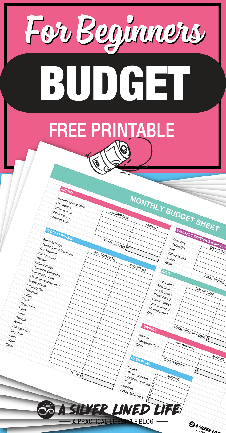 FREE amazing budget printable & worksheet! This is an awesome guide to budgeting for beginners. The best basic tips for money management are all answered in this post! #SLL